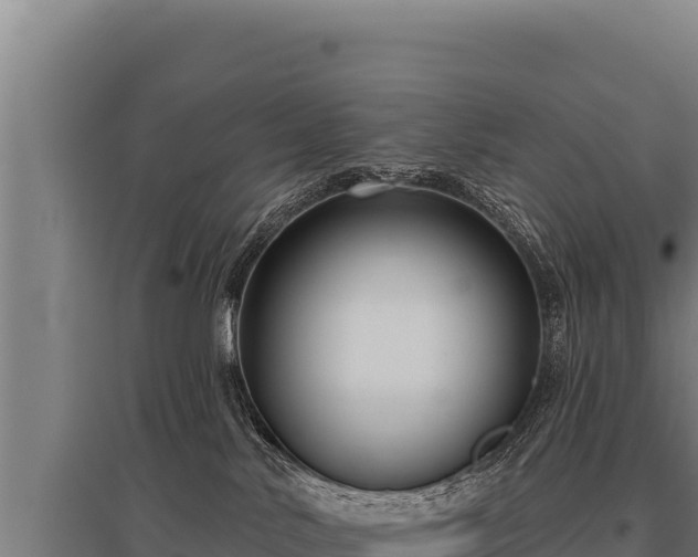 X0000095960042200801181455