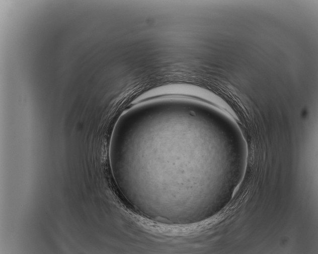 X0000095960043200801181455