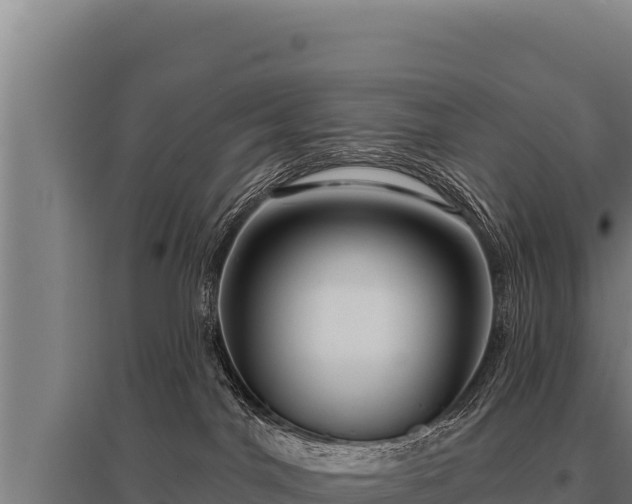 X0000095960044200801181455