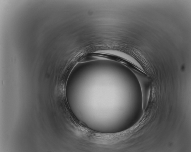 X0000095960045200801181455