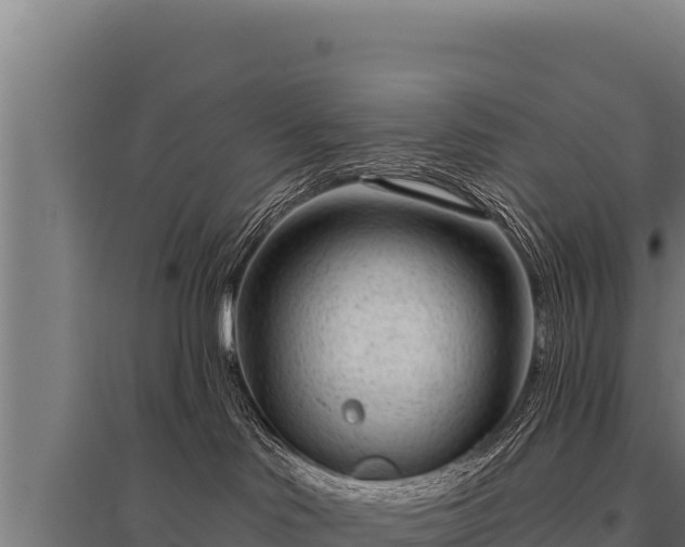 X0000095960046200801181455