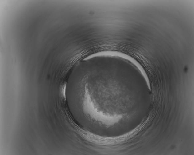 X0000095960047200801181455