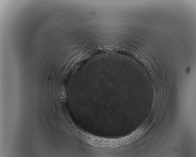 X0000095960048200801181455