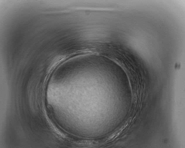 X0000095960049200801181454