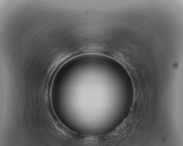 X0000095960050200801181454