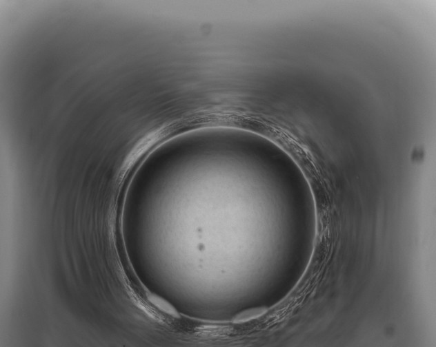 X0000095960051200801181454