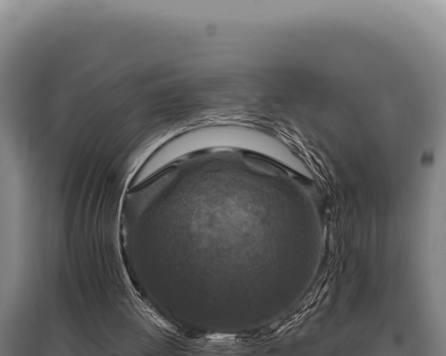 X0000095960052200801181454