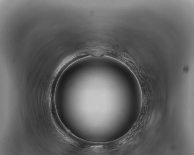 X0000095960054200801181455