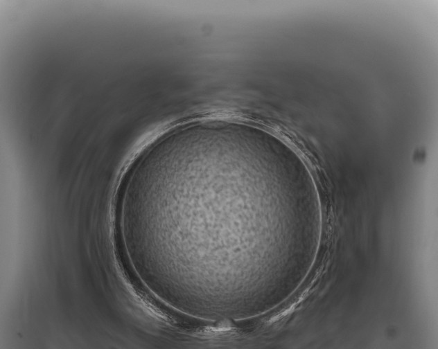 X0000095960055200801181455