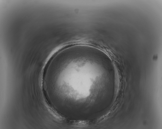 X0000095960056200801181455