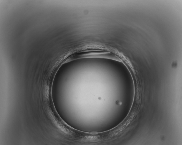 X0000095960057200801181455