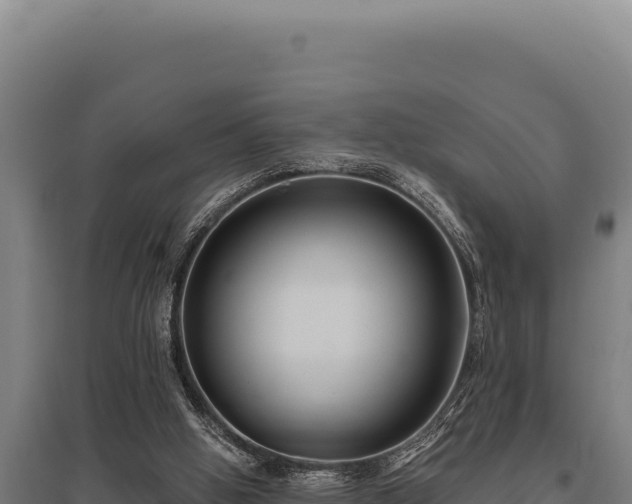 X0000095960058200801181455