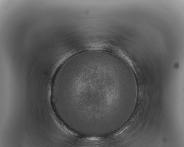 X0000095960059200801181455