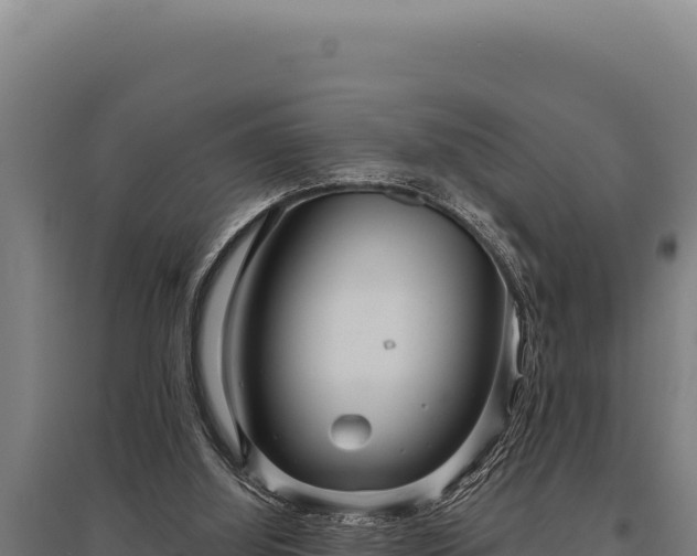 X0000095960060200801181455