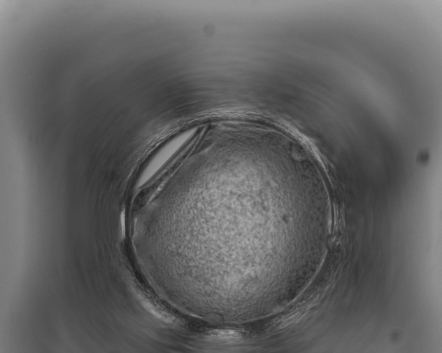 X0000095960061200801181455