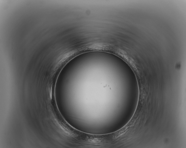 X0000095960062200801181455