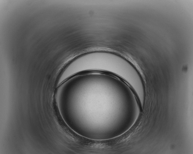 X0000095960063200801181455