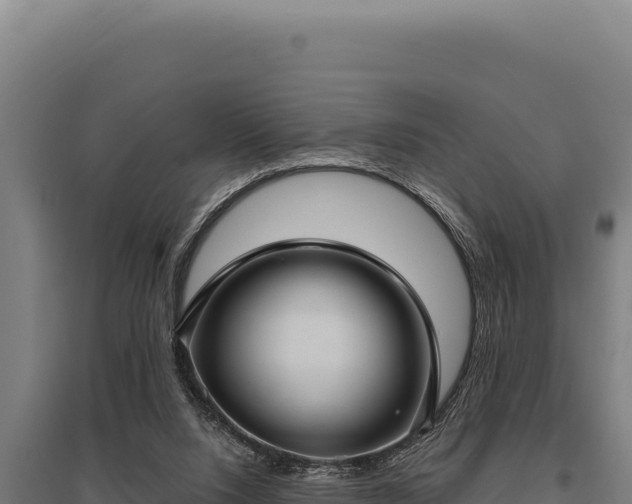 X0000095960064200801181455