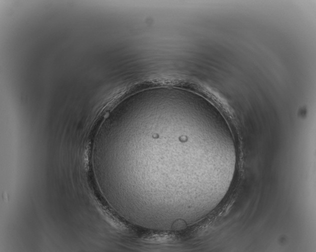 X0000095960065200801181455