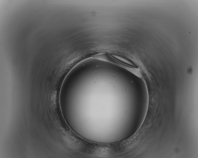 X0000095960066200801181455