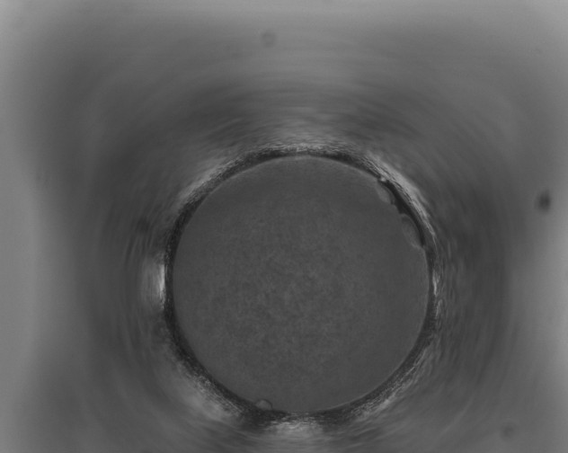 X0000095960067200801181455