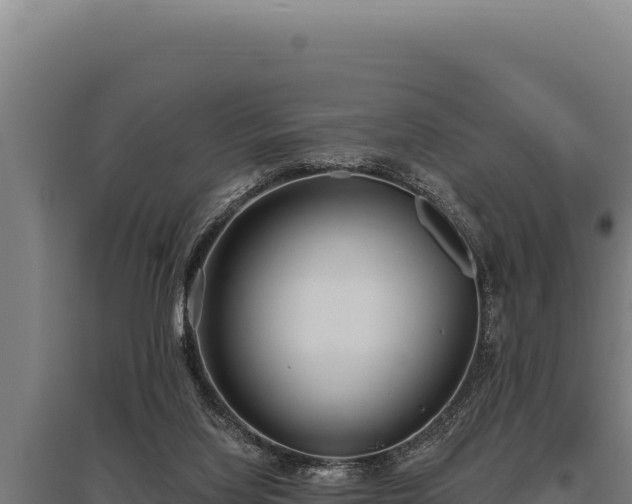 X0000095960068200801181455