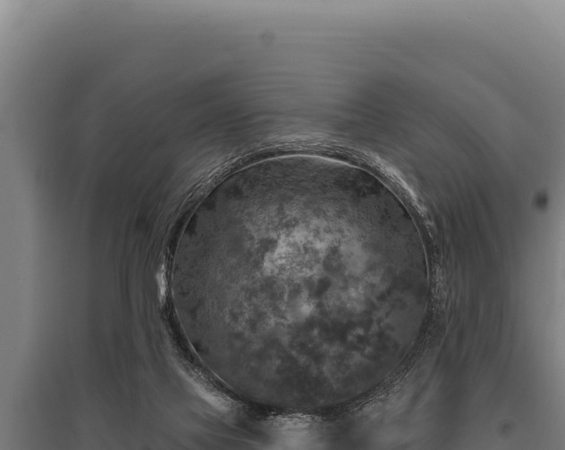 X0000095960069200801181455