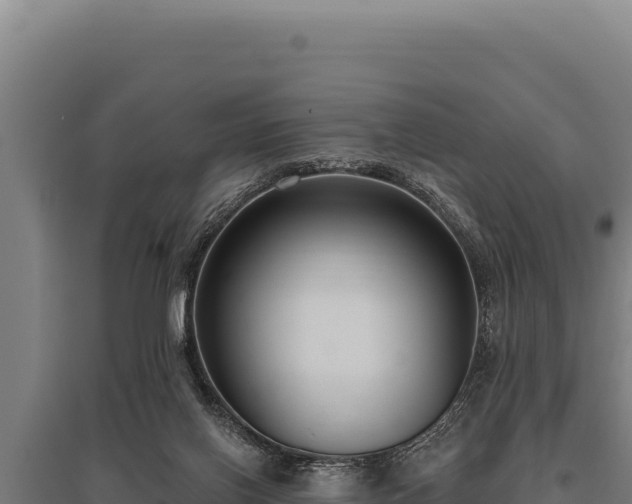 X0000095960070200801181455