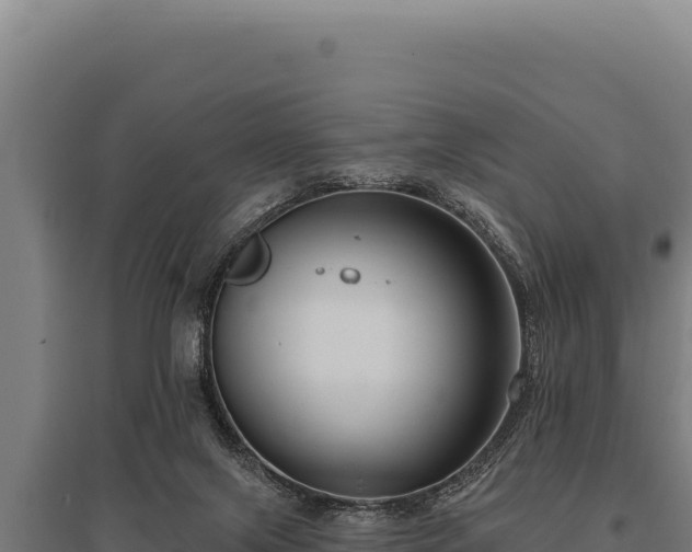 X0000095960071200801181455