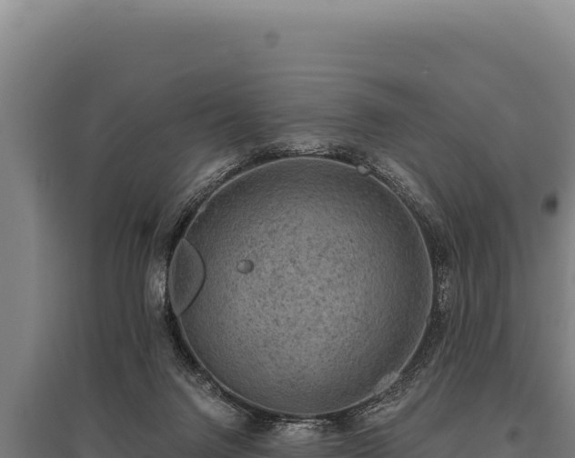 X0000095960072200801181455