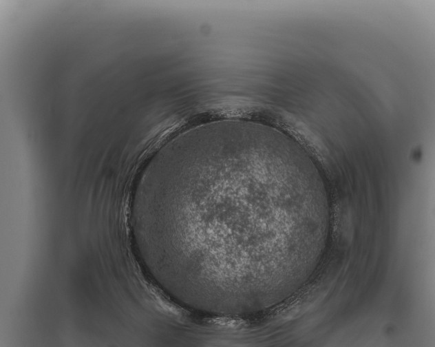 X0000095960073200801181455