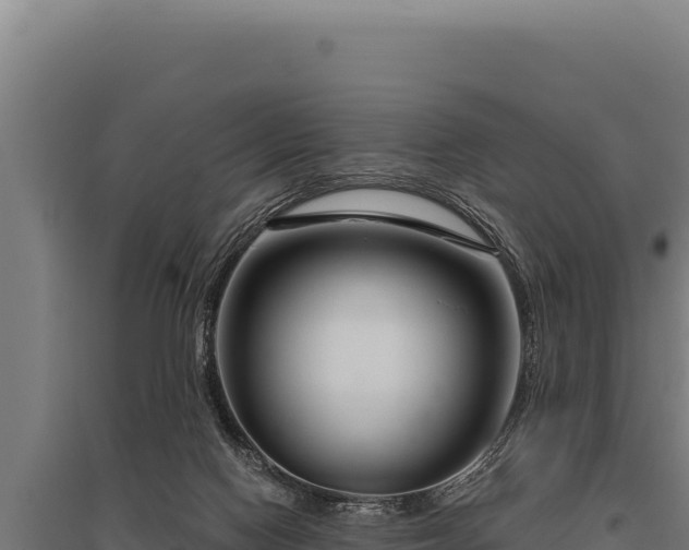 X0000095960074200801181455