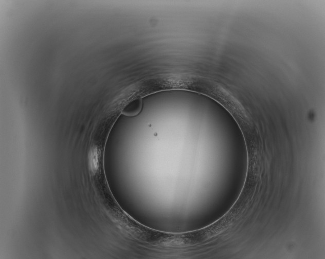 X0000095960075200801181455