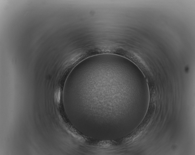 X0000095960076200801181455