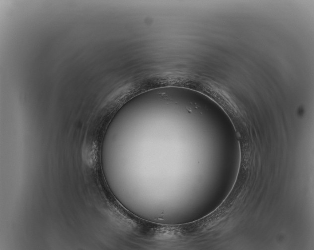 X0000095960077200801181455