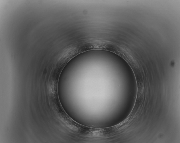 X0000095960078200801181455