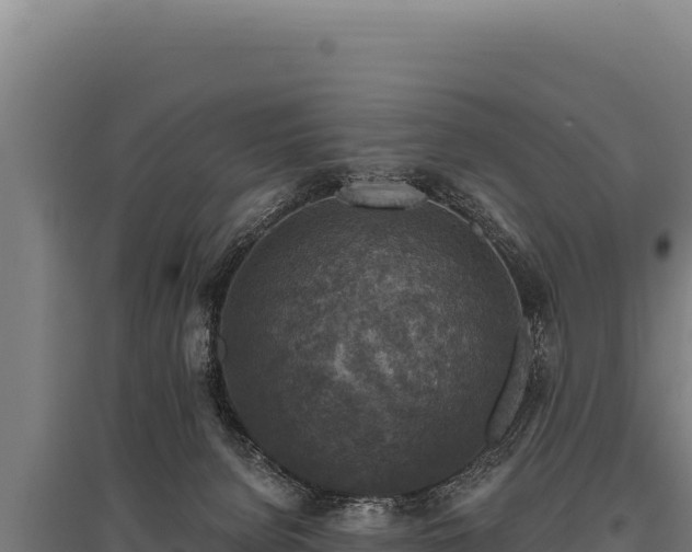 X0000095960080200801181455