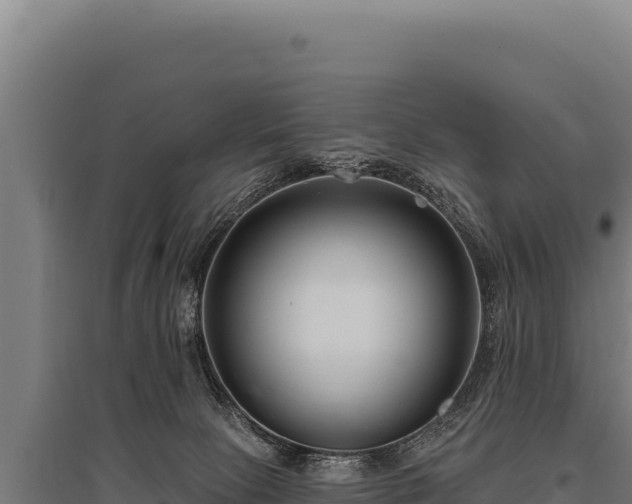 X0000095960081200801181455