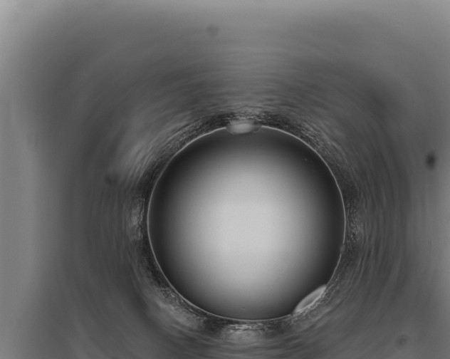 X0000095960082200801181455