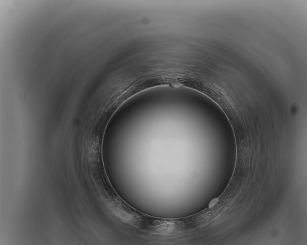 X0000095960083200801181455