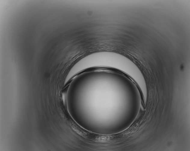 X0000095960084200801181455