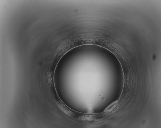 X0000095960086200801181455