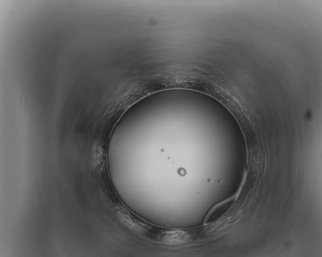 X0000095960087200801181455