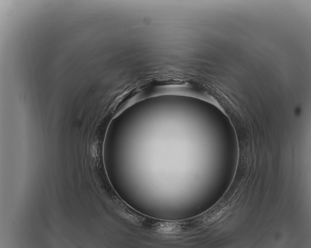 X0000095960088200801181455