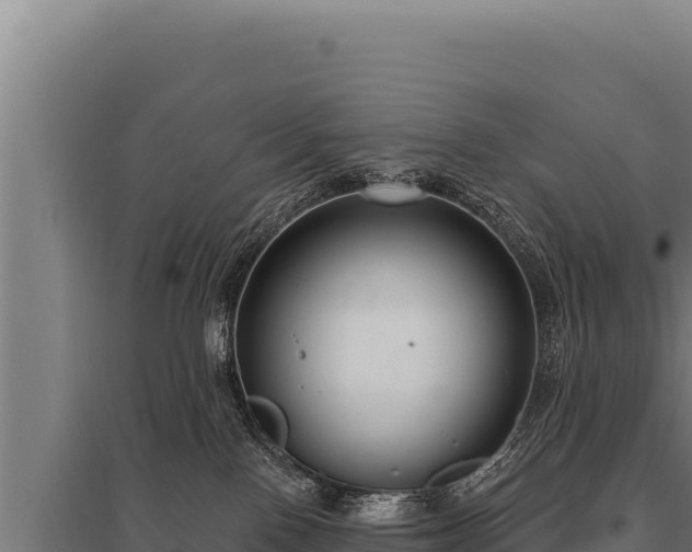 X0000095960090200801181455