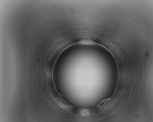 X0000095960091200801181455