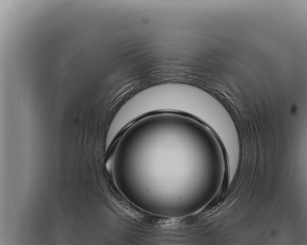 X0000095960092200801181455