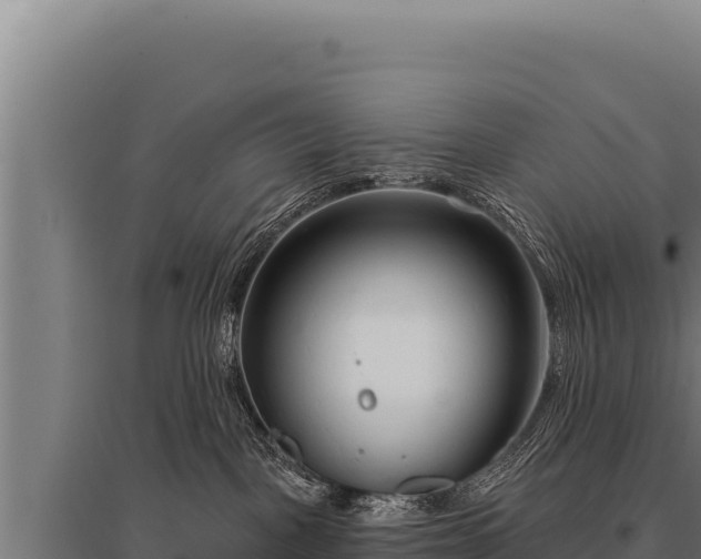 X0000095960093200801181455