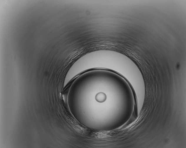 X0000095960094200801181455