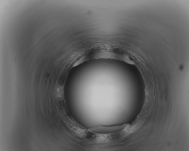 X0000095960096200801181455